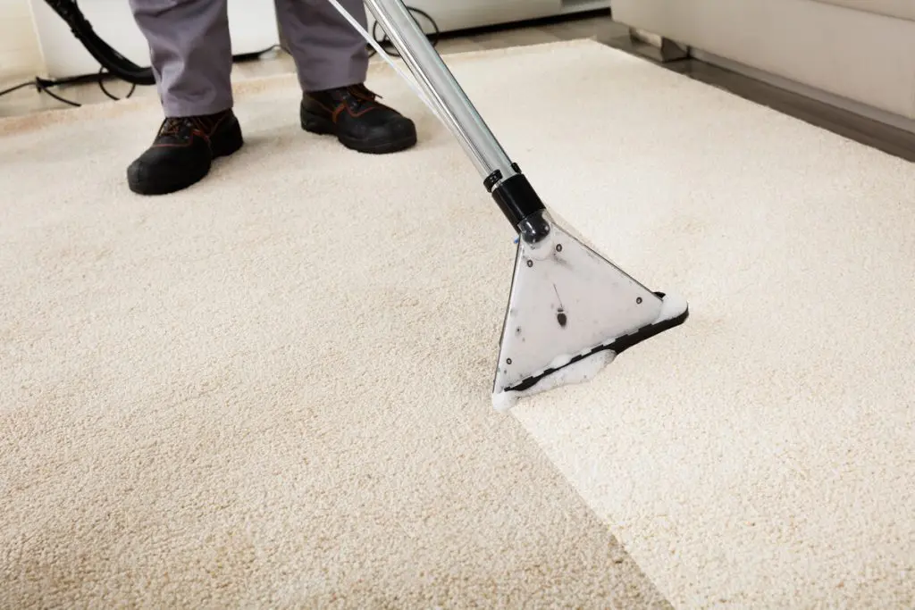 Carpet and Couch Cleaning in Parma