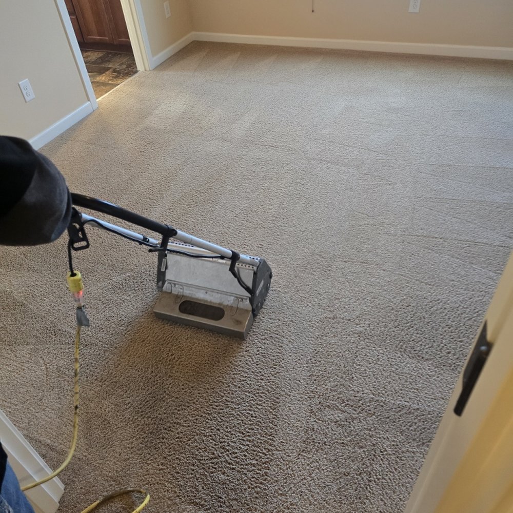 Couch & Carpet Cleaning in Gates Mills