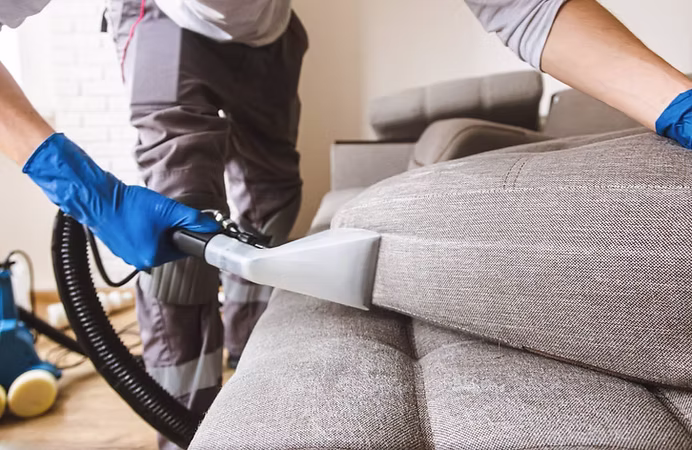 Couch & Carpet Cleaning in Collinwood