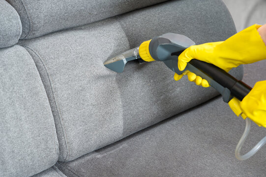 Couch & Carpet Cleaning in Lorain