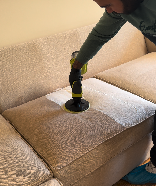 Couch & Carpet Cleaning in Elyria