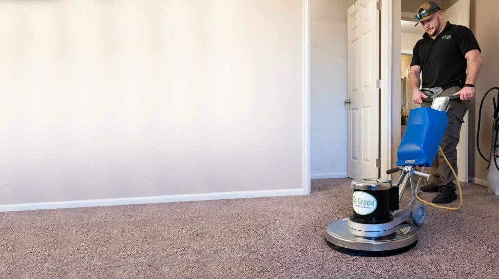 Couch & Carpet Cleaning in Brook Park