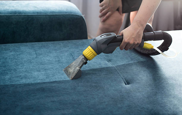 Couch & Carpet Cleaning in Highland Heights