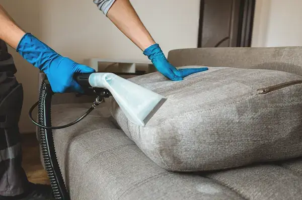 Couch & Carpet Cleaning in Mentor